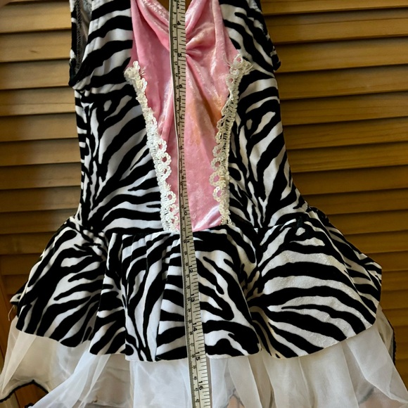 Small child Zebra dance costume—ages 2-3. Approx 18” too to bottom. Lined. - Picture 6 of 6